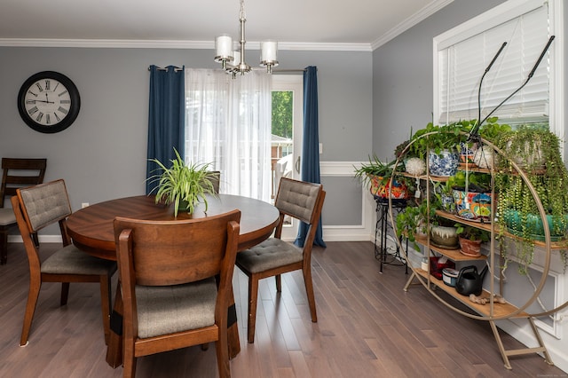 5 Pope St, New Haven, CT 06512 - dining space featuring ornamental molding, a chandelier, and dark wood-style flooring