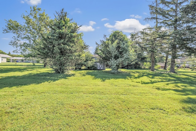 23 Laurel Wood Dr, Shelton, CT 06484 - view of grassy yard