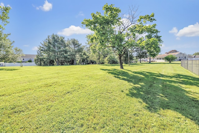 23 Laurel Wood Dr, Shelton, CT 06484 - view of yard