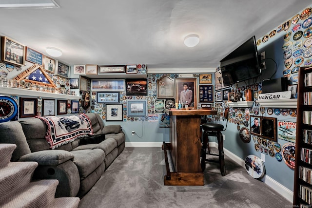 35 Twelve Acre Ln, Glastonbury, CT 06033 - indoor dry bar with carpet floors