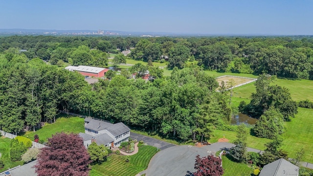 35 Twelve Acre Ln, Glastonbury, CT 06033 - bird's eye view of a forest