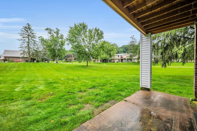 16 Pine Ct Unit 16, Cromwell, CT 06416 - view of green lawn
