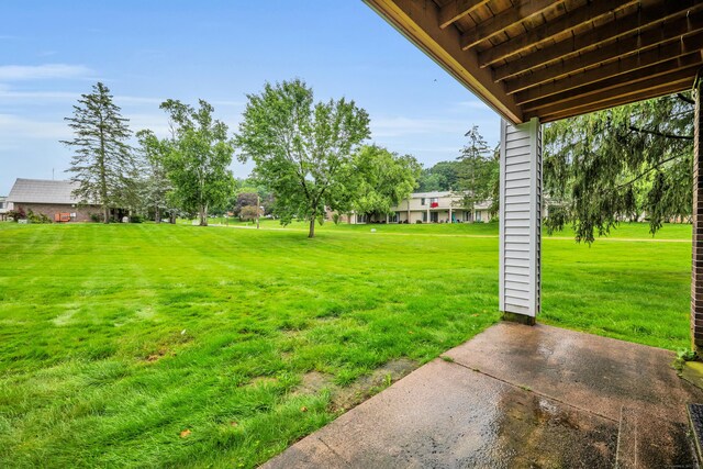 16 Pine Ct Unit 16, Cromwell, CT 06416 - view of grassy yard