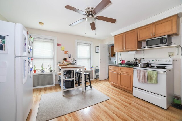 44 Clark St, New Haven, CT 06511 - photo 15