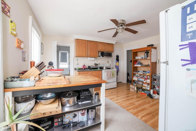 44 Clark St, New Haven, CT 06511 - photo 16