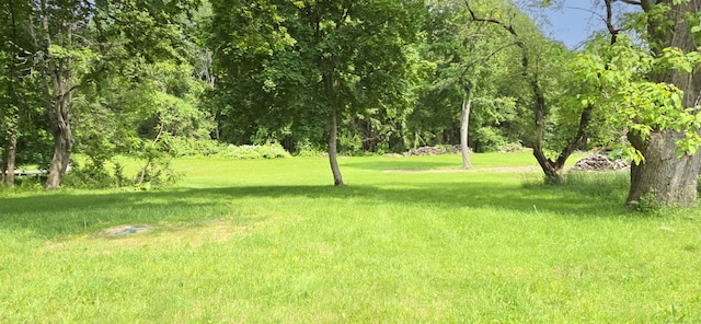 20 Old Stafford Rd, Tolland, CT 06084 - view of green lawn