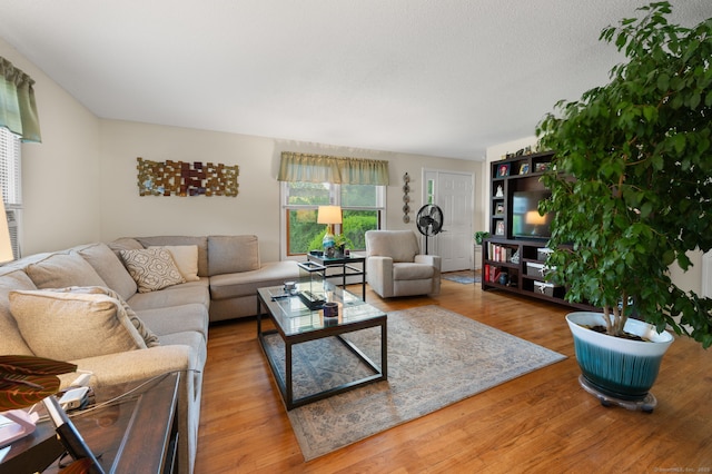 135 Liberty St Unit 135, Clinton, CT 06413 - living area with wood finished floors