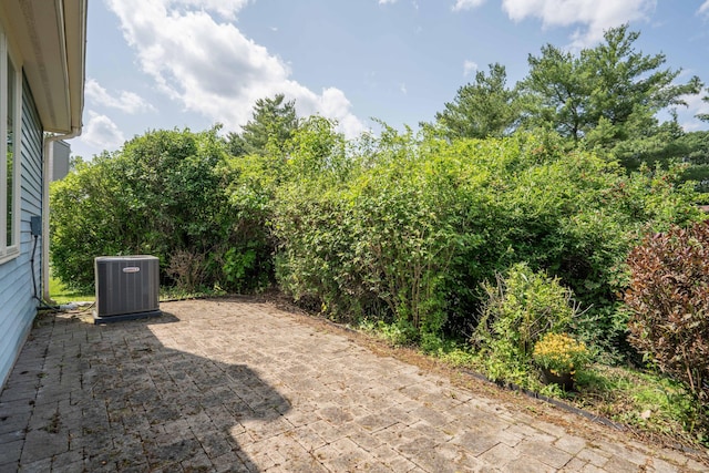 80 Copper Beech Dr Unit 80, Rocky Hill, CT 06067 - view of yard with a patio