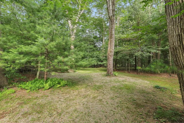 56 Cedar Swamp Rd, Mansfield, CT 06268 - photo 37