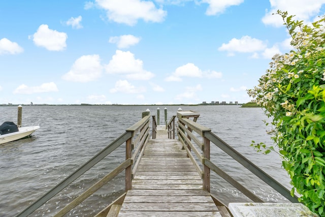 dock area with a water view