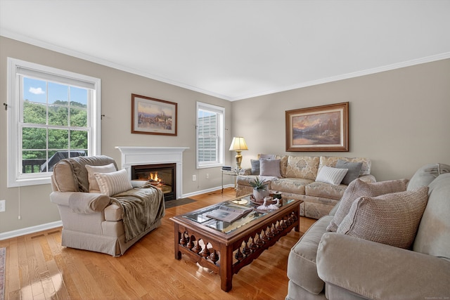 1401 Pinnacle Way Unit 1401, Danbury, CT 06811 - living room featuring light wood finished floors, ornamental molding, and a fireplace with flush hearth