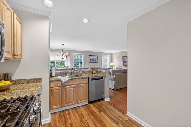 1401 Pinnacle Way Unit 1401, Danbury, CT 06811 - kitchen featuring stainless steel appliances, light wood finished floors, a peninsula, open floor plan, and ornamental molding