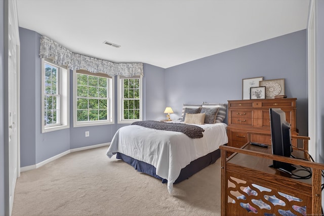 1401 Pinnacle Way Unit 1401, Danbury, CT 06811 - carpeted bedroom with baseboards