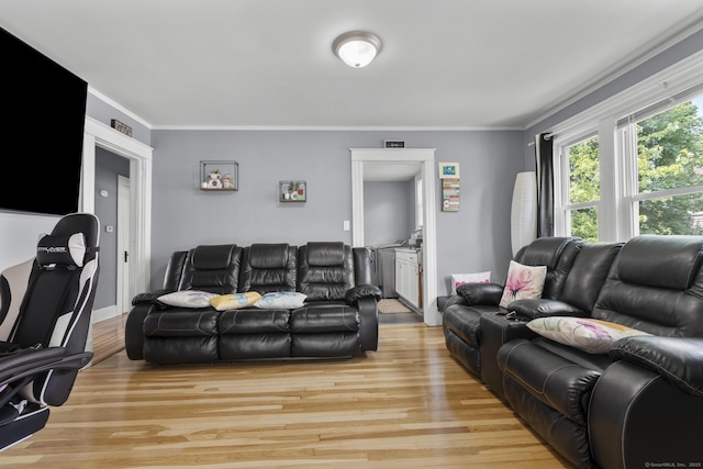 116 Divinity St, Bristol, CT 06010 - living room with crown molding and light wood-style floors