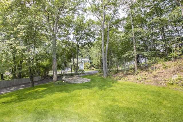 17 Kathleen Dr, Stratford, CT 06614 - view of yard