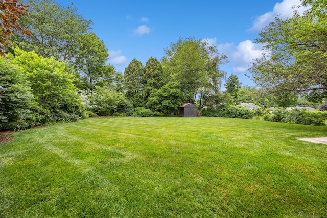677 Wiese Rd, Cheshire, CT 06410 - photo 31