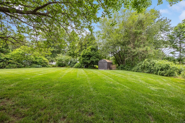 677 Wiese Rd, Cheshire, CT 06410 - photo 32