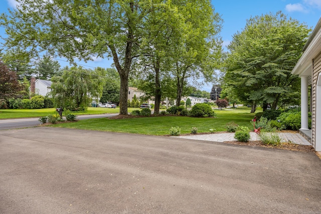 677 Wiese Rd, Cheshire, CT 06410 - photo 35