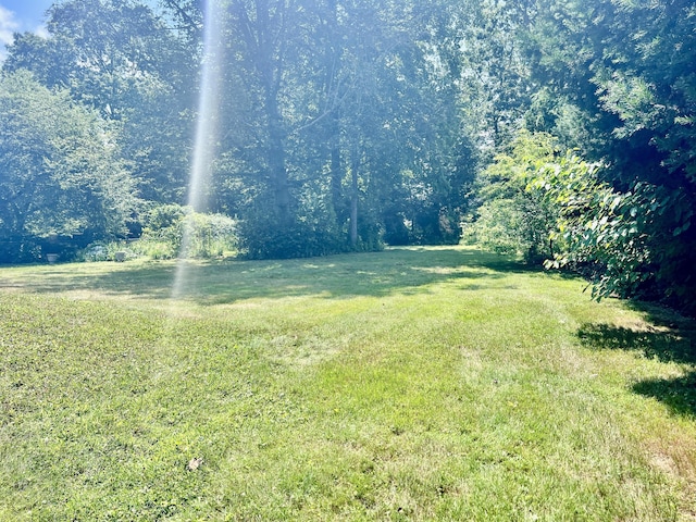 51 Blakeslee Rd, Wallingford, CT 06492 - photo 25