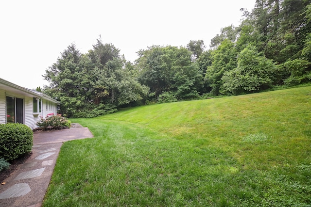 57 Apple Tree Ln, Hamden, CT 06518 - view of grassy yard