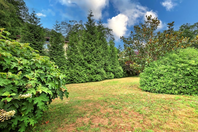 90 Edgewood Way, New Haven, CT 06515 - view of green lawn