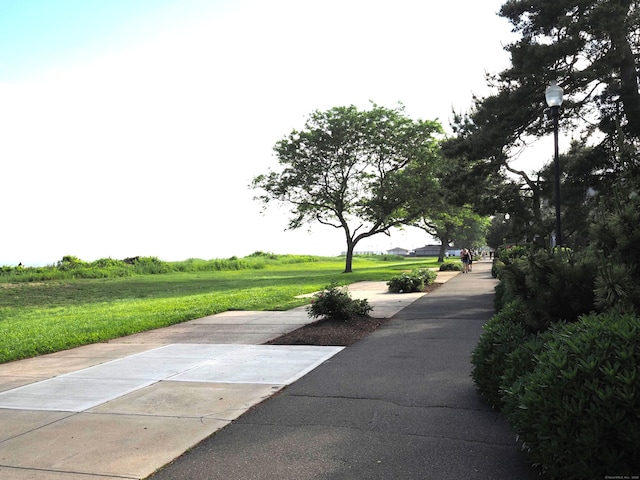 208 W Walk Unit 208, West Haven, CT 06516 - view of community featuring a yard