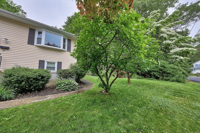 141 Joy Rd, Waterbury, CT 06708 - photo 1