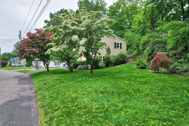 141 Joy Rd, Waterbury, CT 06708 - photo 3
