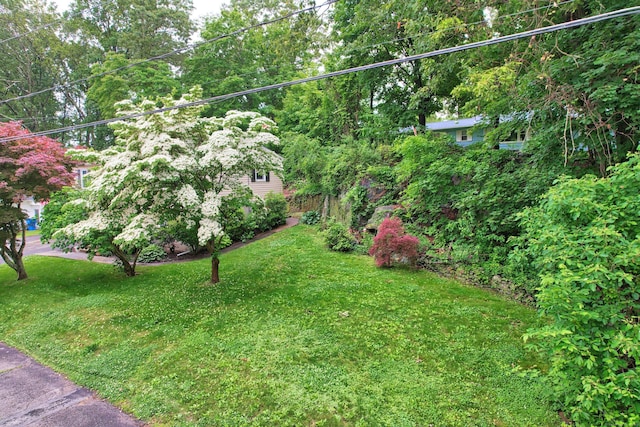 141 Joy Rd, Waterbury, CT 06708 - photo 5