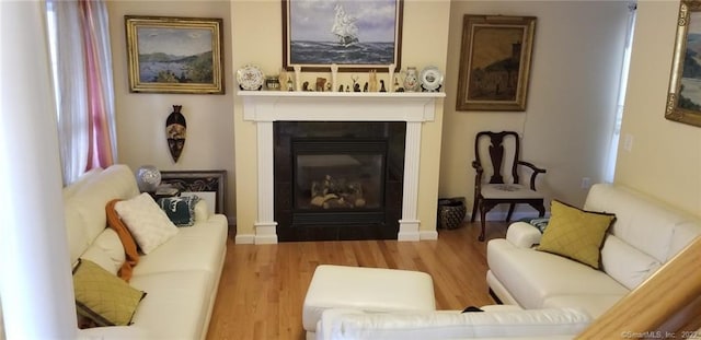 27 Amber Pl, Waterbury, CT 06705 - living room with wood finished floors and a glass covered fireplace