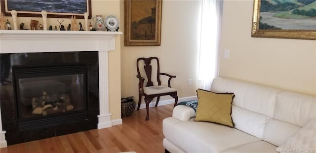 27 Amber Pl, Waterbury, CT 06705 - living room featuring wood finished floors and a glass covered fireplace