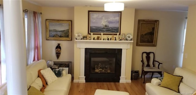27 Amber Pl, Waterbury, CT 06705 - living area with wood finished floors and a glass covered fireplace