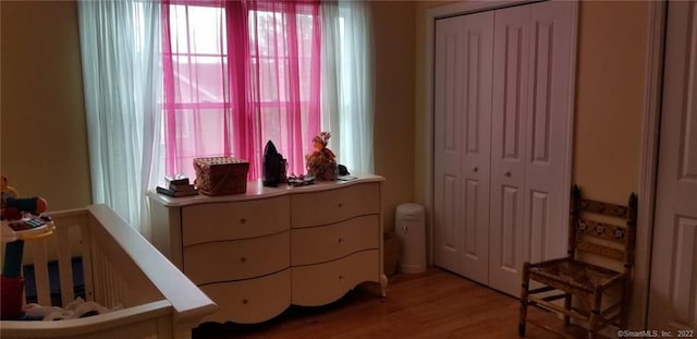 27 Amber Pl, Waterbury, CT 06705 - bedroom featuring multiple windows, light wood-style floors, and a closet