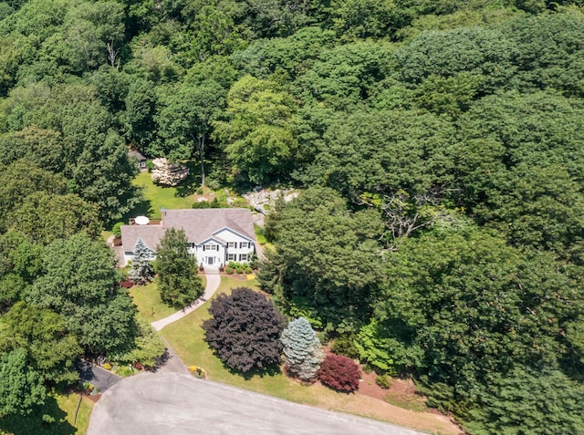 6 Owl Ridge Ln, Newtown, CT 06482 - photo 38
