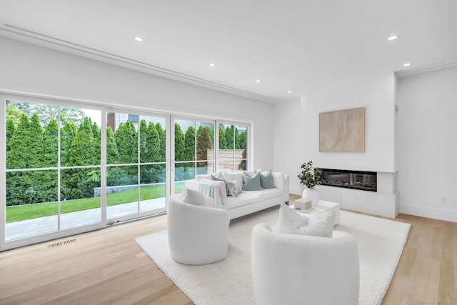 133 E Ave Unit A, New Canaan, CT 06840 - living area with light wood-type flooring, recessed lighting, and a glass covered fireplace
