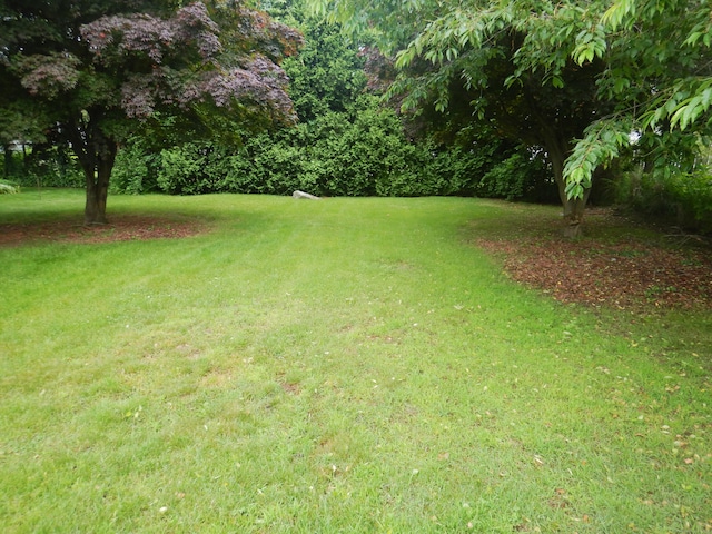 11 Morton St, New London, CT 06320 - view of grassy yard