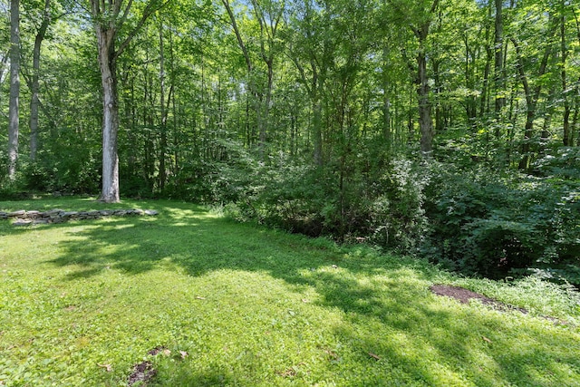 166 River Rd, East Haddam, CT 06423 - photo 37