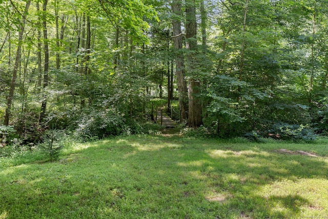 166 River Rd, East Haddam, CT 06423 - photo 38
