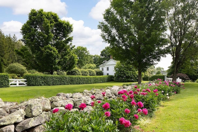 12 Popple Swamp Rd, Cornwall, CT 06754 - view of grassy yard