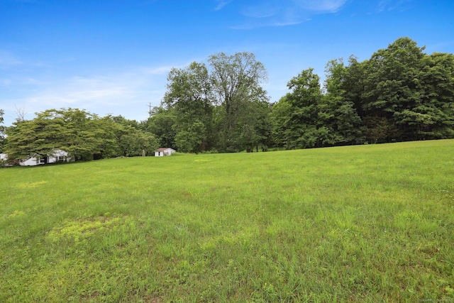1 Old Middle Rd, New Milford, CT 06776 - view of green lawn featuring a wooded view and a storage unit