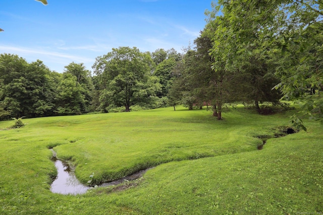 1 Old Middle Rd, New Milford, CT 06776 - view of green lawn