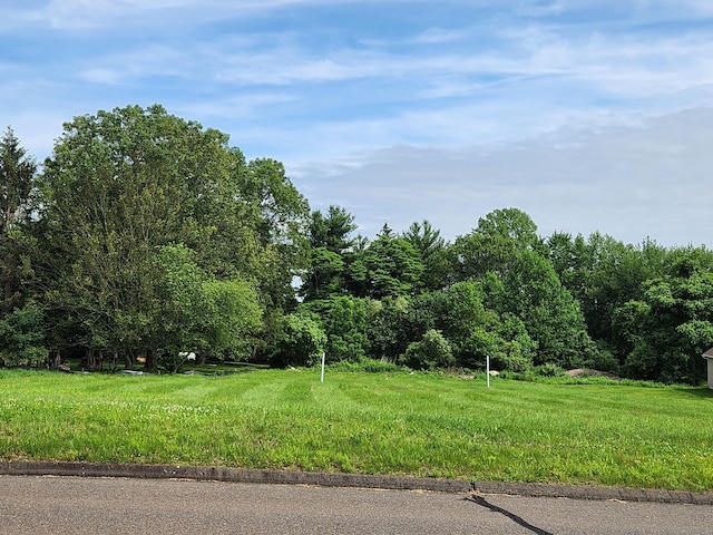 3 Macconnie Ct, Seymour, CT 06483 - view of yard