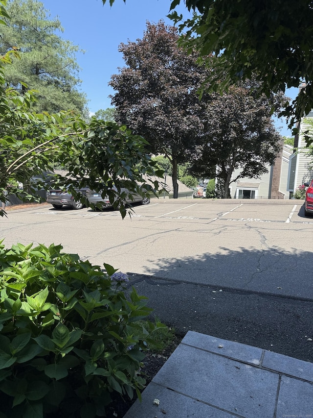 71 Aiken St Apt N7, Norwalk, CT 06851 - view of yard