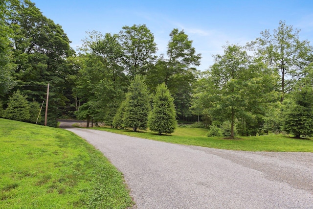 40 Chestnut Ln, Hamden, CT 06518 - view of road with a forest view