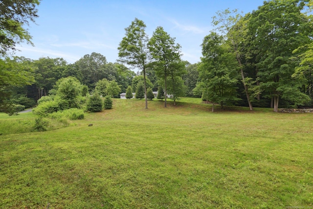 40 Chestnut Ln, Hamden, CT 06518 - view of green lawn