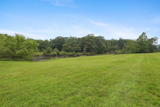 40 Chestnut Ln, Hamden, CT 06518 - view of grassy yard featuring a forest view