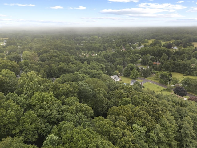 857 Totoket Rd, North Branford, CT 06472 - photo 36