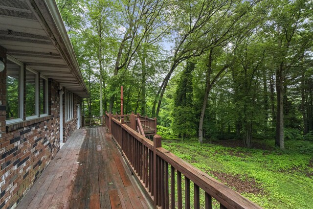 857 Totoket Rd, North Branford, CT 06472 - photo 31