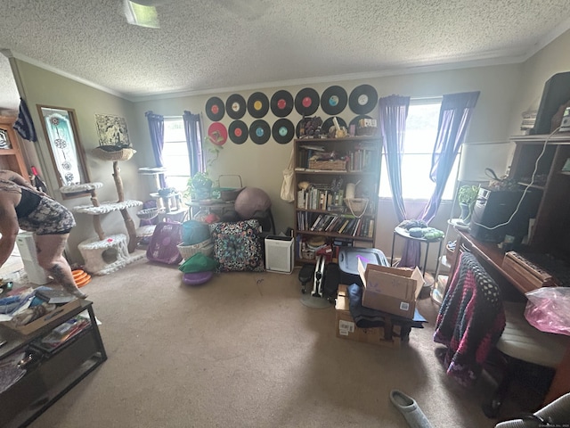 967 Long Cove Rd Trlr 2, Ledyard, CT 06335 - carpeted home office with ornamental molding and a textured ceiling