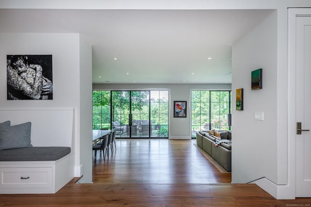 85 W Church Hill Rd, Washington, CT 06794 - living area featuring wood finished floors and recessed lighting